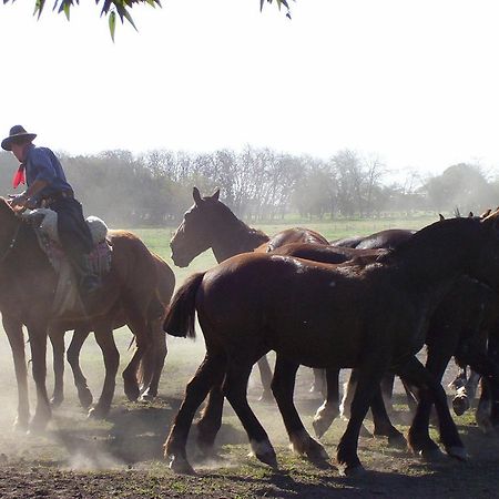 Diego Gaynor Estancia Don Silvano 게스트하우스 외부 사진