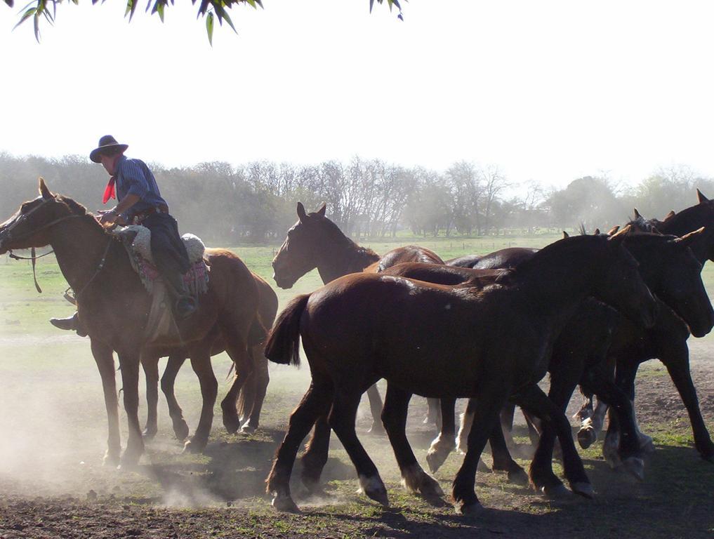 Diego Gaynor Estancia Don Silvano 게스트하우스 외부 사진